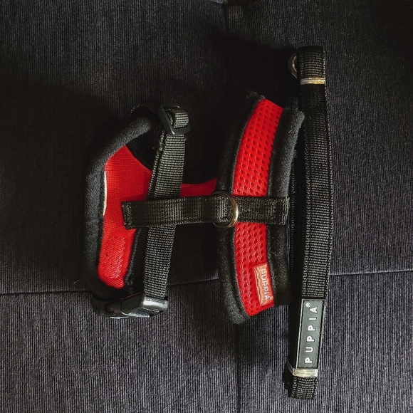 Puppia Cat Small Dog Harness AND Leash - Unused - Picture 3 of 8